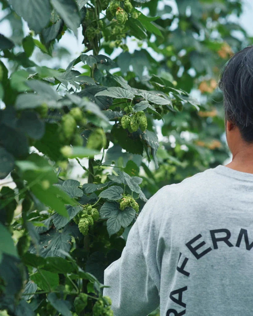 FRESH HOP 2025