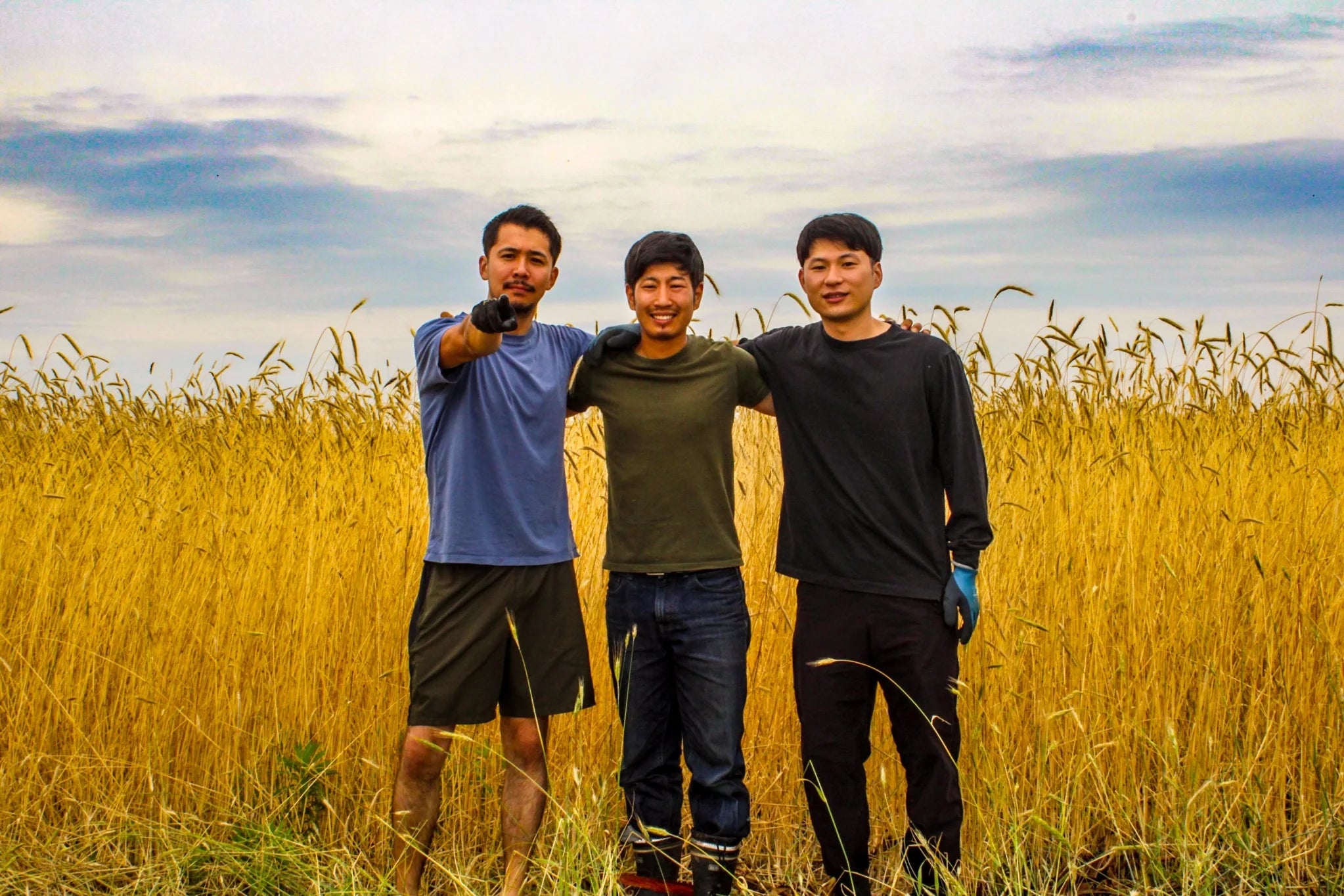 HARVEST